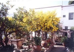 Hotel La Certosella Capri Eksteriør billede